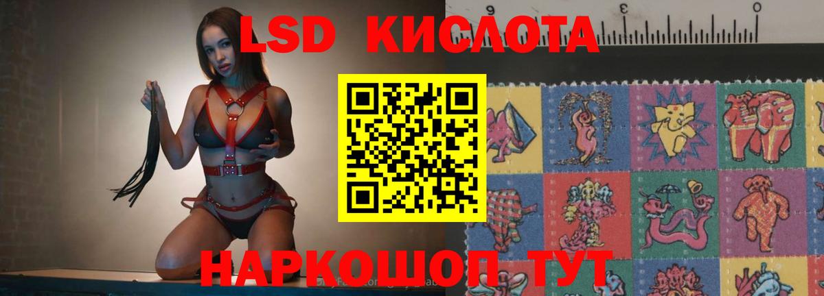 ссылка на мегу зеркало  ЛСД экстази ecstasy  Вход с VPN  Гудермес 