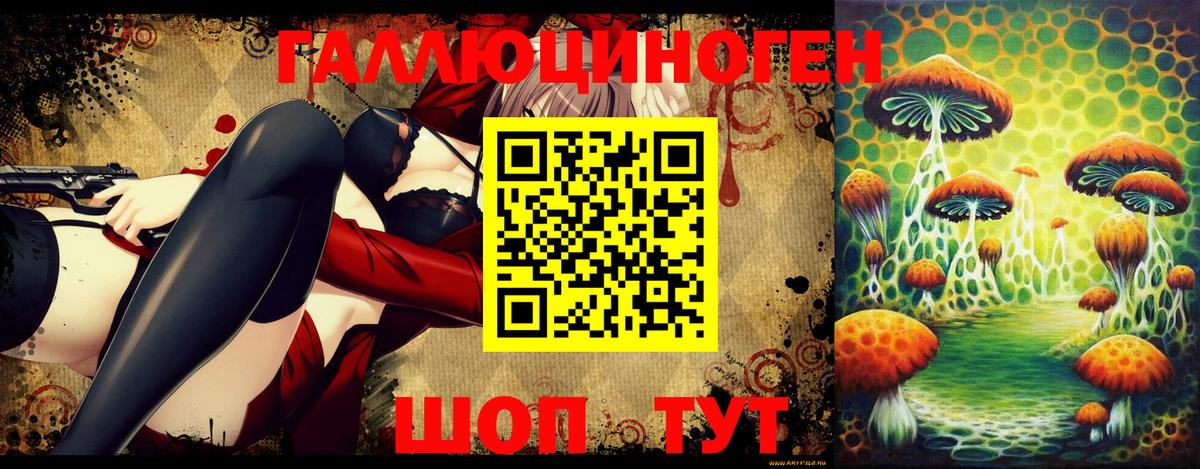 Галлюциногенные грибы прущие грибы Гудермес
