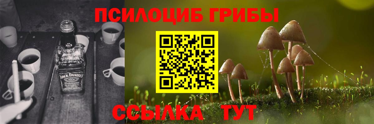 Гудермес  Галлюциногенные грибы ЛСД  Вход с VPN 