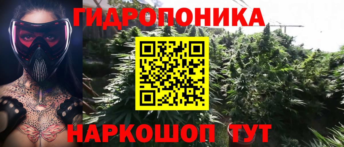 Каннабис Amnesia Гудермес
